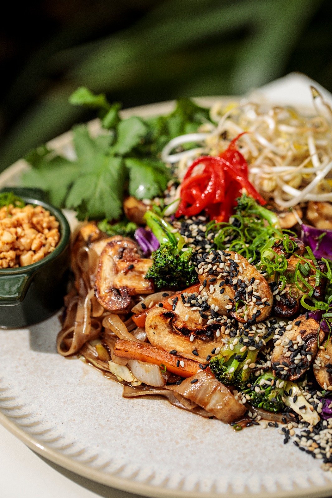 Pad Thai BrodDo